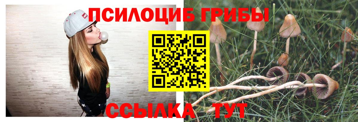 Кстово  Псилоцибиновые грибы ЛСД  Вход с VPN 
