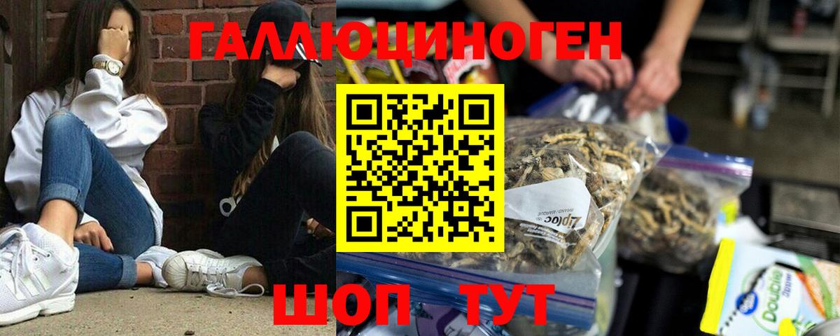 Галлюциногенные грибы прущие грибы Кстово
